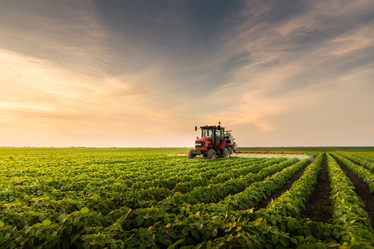 Plantio da safra 26/27 de soja no Paraná inicia com mercado aquecido e preços em alta