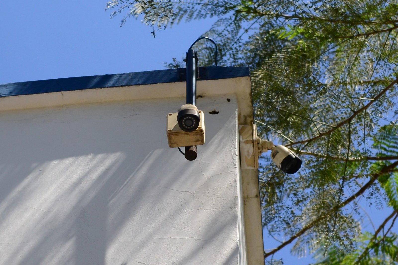 Foz do Iguaçu cria sistema colaborativo de câmeras de segurança