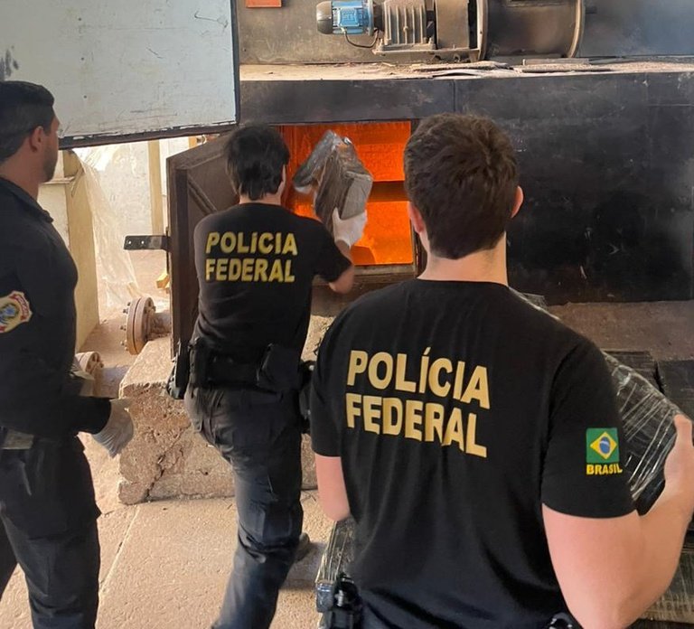 Apreensões recordes em agosto: Paraná barra e incinera 15 toneladas de maconha