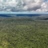 Fundo criado na COP30 recebe aporte milionário do Reino Unido