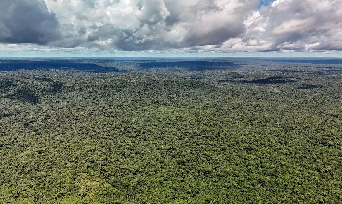 Fundo criado na COP30 recebe aporte milionário do Reino Unido