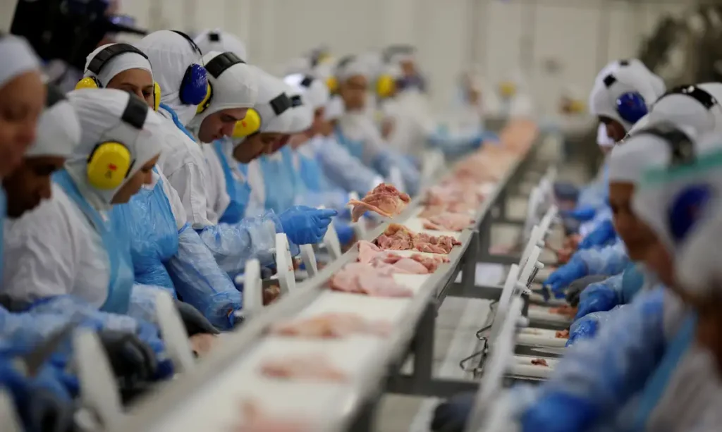 Veto europeu à carne brasileira bloqueia US$ 392 milhões e afeta frigoríficos do Paraná