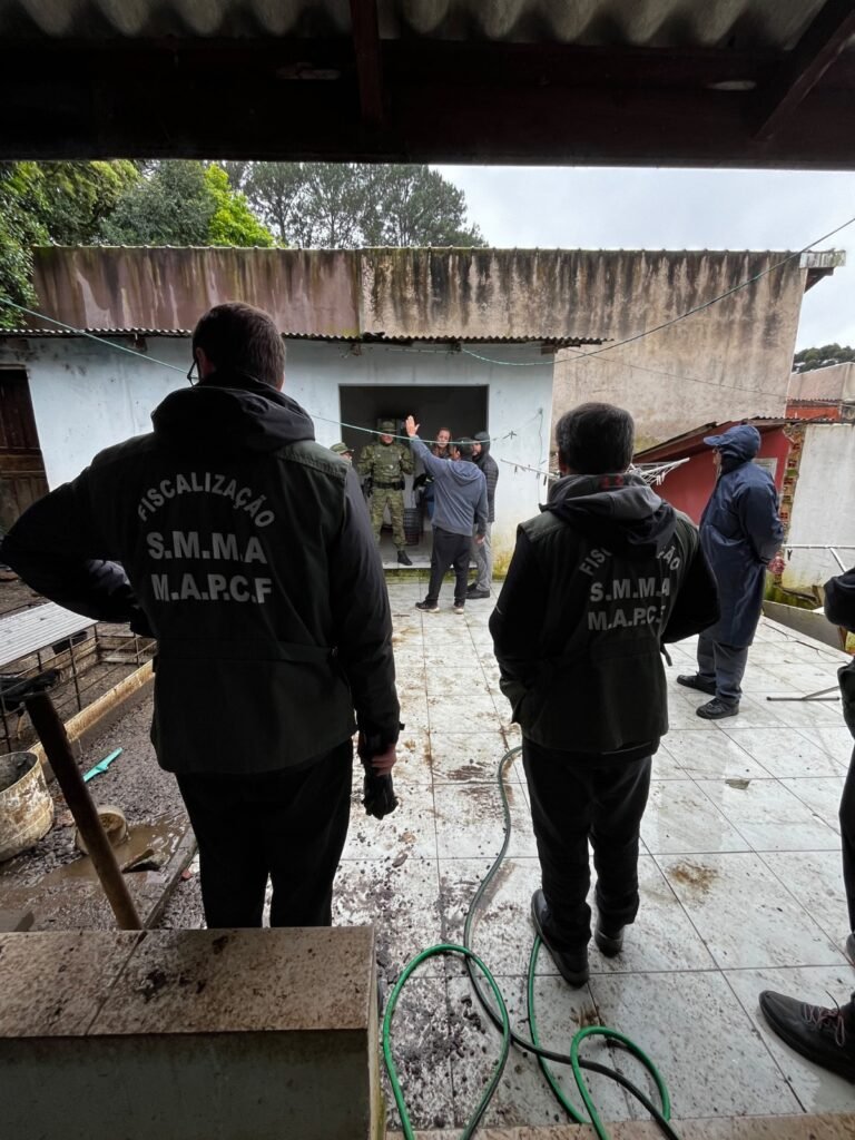 Criação irregular de galos de rinha é fechada no Mossunguê: dono leva multa de R$ 20 mil