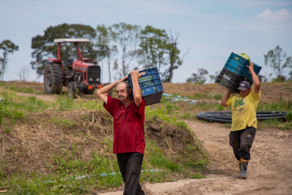 Produtores de Agudos do Sul triplicam vendas com expansão do Sacolão da Família em Curitiba
