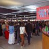 Mercado de arte independente cresce em Curitiba e profissionaliza produtores locais