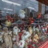 Comércio de Curitiba terá concurso de vitrines de Natal com R$ 35 mil em prêmios