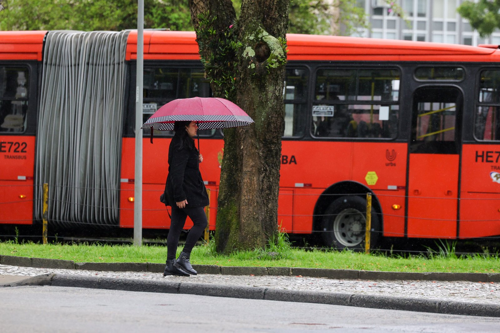 Chuva extrema no Paraná: Alerta Vermelho exige atenção no fim de semana de eleições
