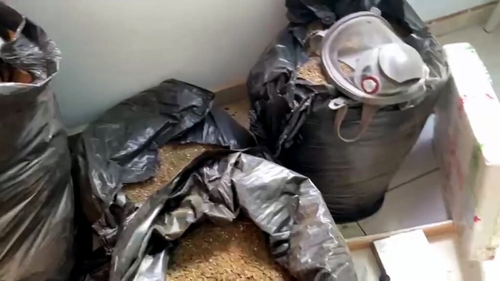 Incêndio em Cascavel revela laboratório do tráfico com 100 kg de maconha