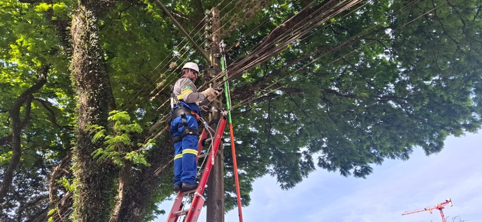 Força-tarefa limpa toneladas de fios irregulares no Centro Histórico de Paranaguá