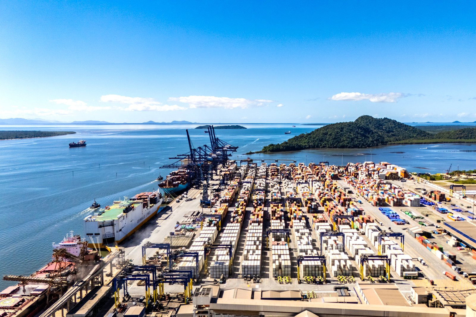 Porto de Paranaguá puxa 65% do crescimento das exportações de frango do Brasil