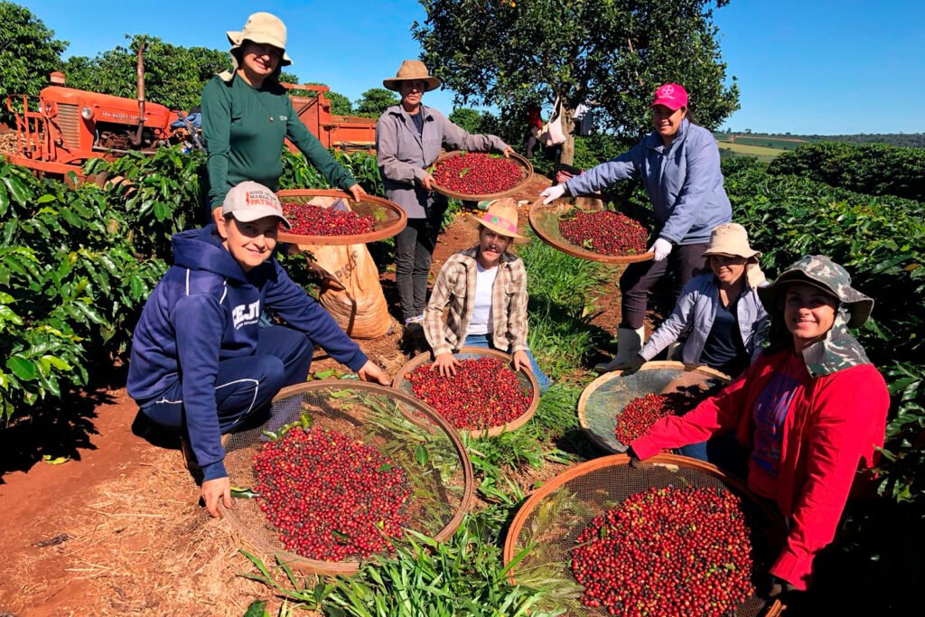 Feira em Curitiba traz produtos da agricultura familiar e destaca atuação das mulheres do campo