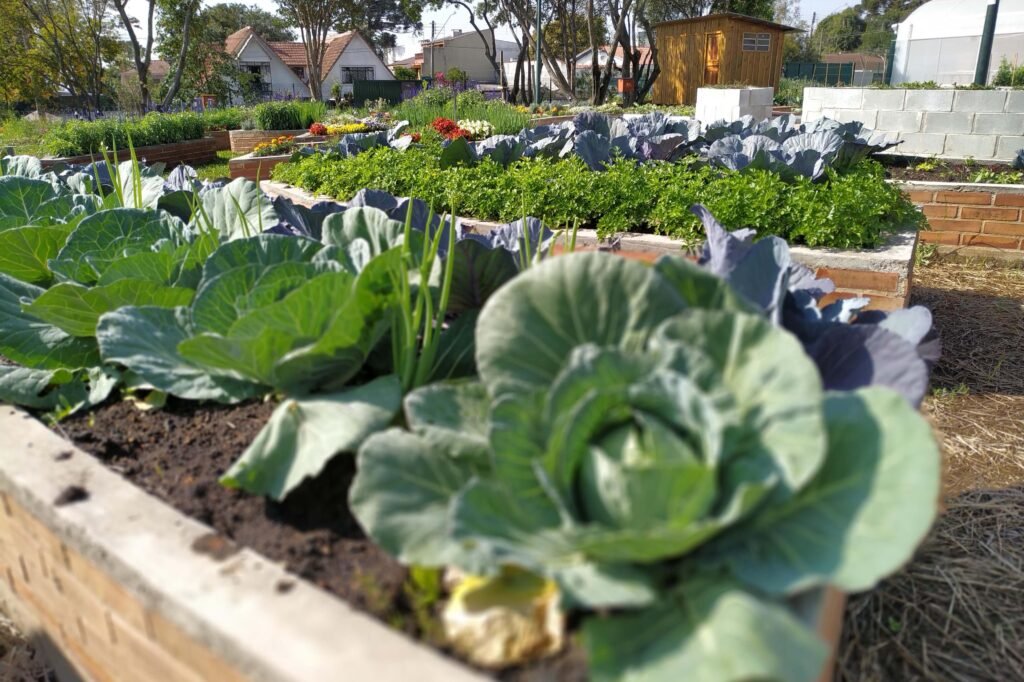 21 cidades do Paraná terão R$ 39 milhões para projetos de agroecologia