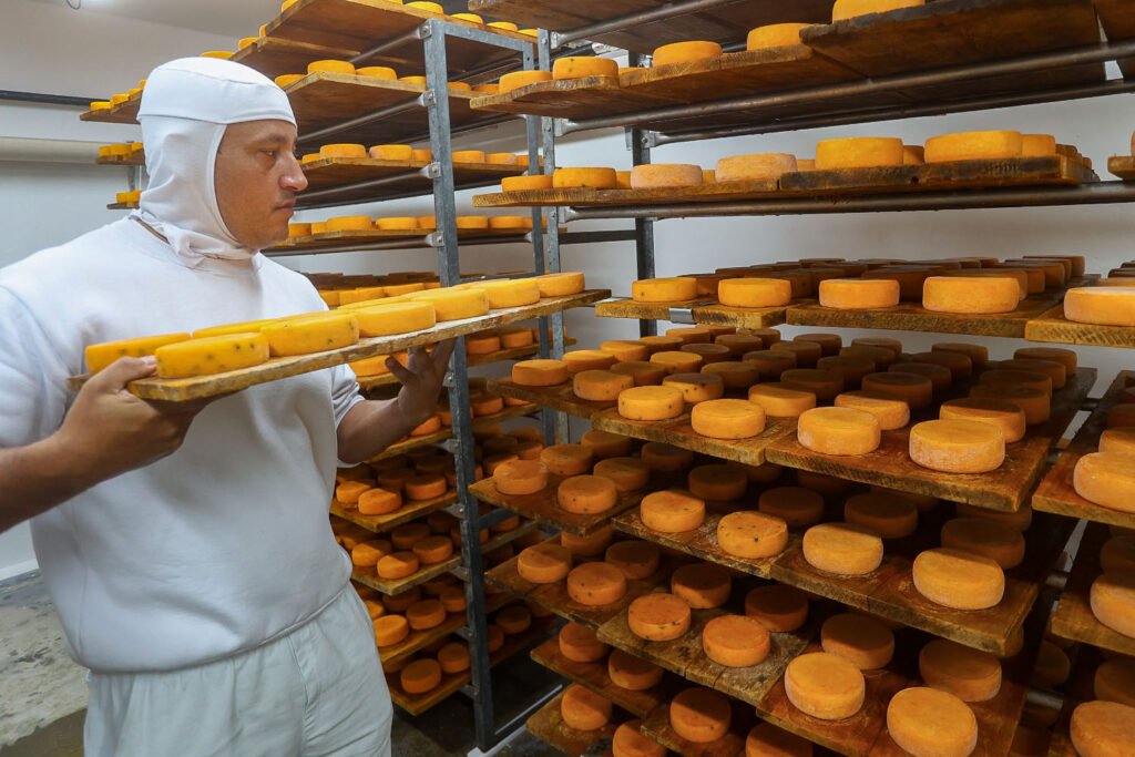 Produtores do Paraná faturam alto com queijos premiados no "Oscar" da gastronomia