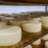 Produtores do Paraná faturam alto com queijos premiados no "Oscar" da gastronomia