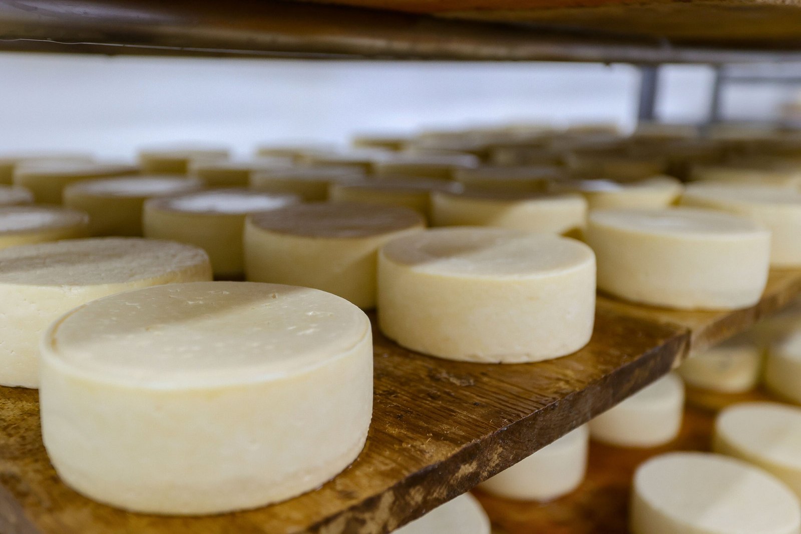 Produtores do Paraná faturam alto com queijos premiados no "Oscar" da gastronomia